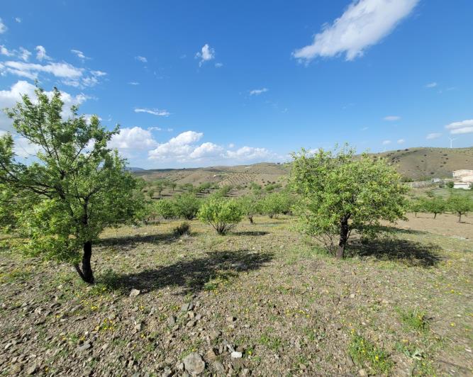 Image No.23-1 Bed Land for sale