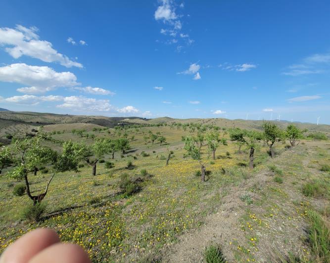 Image No.25-1 Bed Land for sale