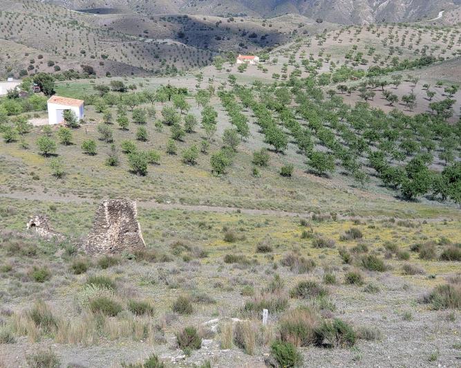 Image No.26-1 Bed Land for sale