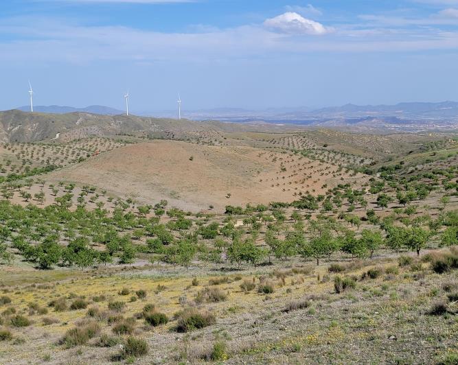 Image No.31-1 Bed Land for sale