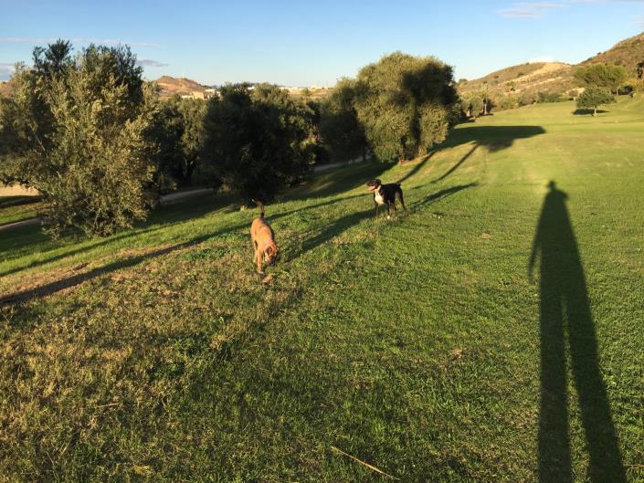 Image No.25-Appartement de 2 chambres à vendre à Mojacar