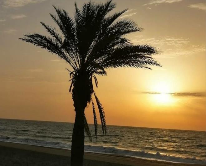 Image No.14-Appartement de 2 chambres à vendre à Carboneras