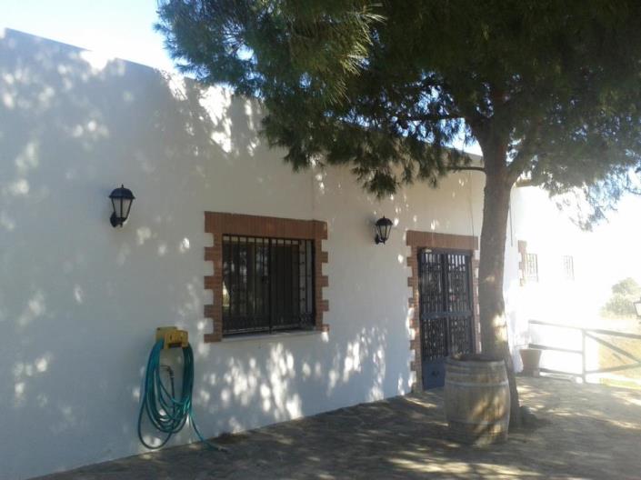 Image No.5-7 Bed Commercial for sale