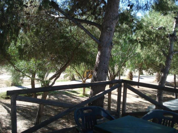 Image No.28-7 Bed Commercial for sale