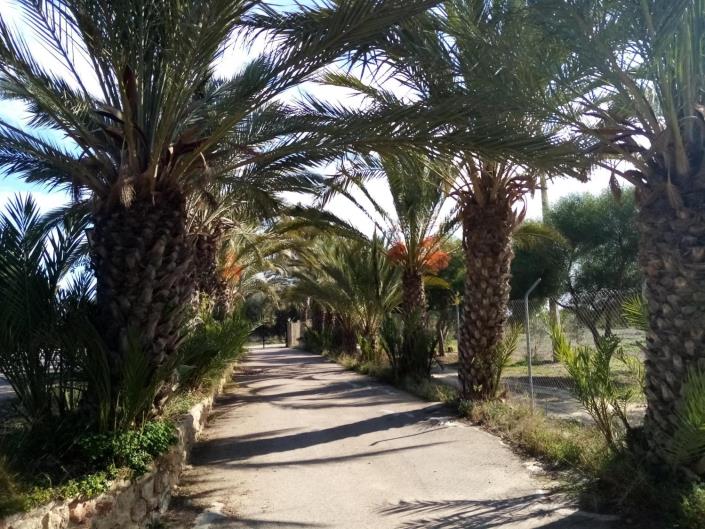 Image No.50-7 Bed Commercial for sale