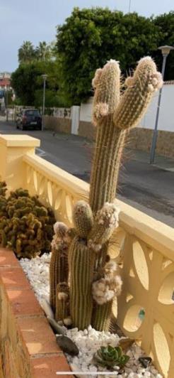 Image No.5-3 Bed Villa for sale