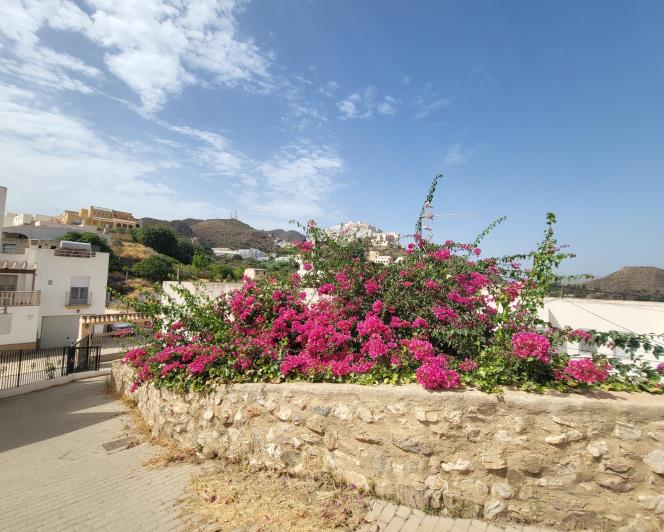 Image No.4-Villa de 2 chambres à vendre à Mojacar