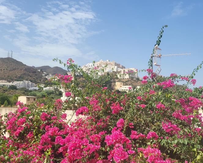 Image No.6-Villa de 2 chambres à vendre à Mojacar