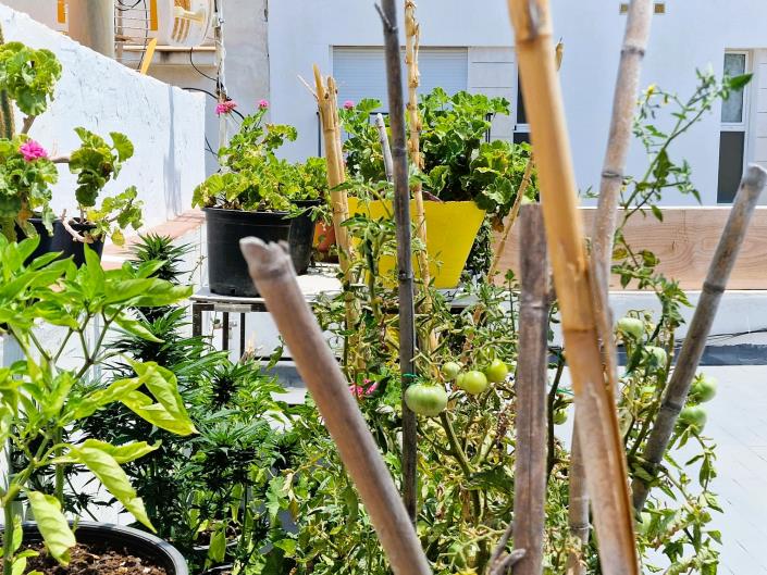 Image No.36-3 Bed House for sale