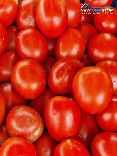 Image No.13-3 Bed Apartment for sale