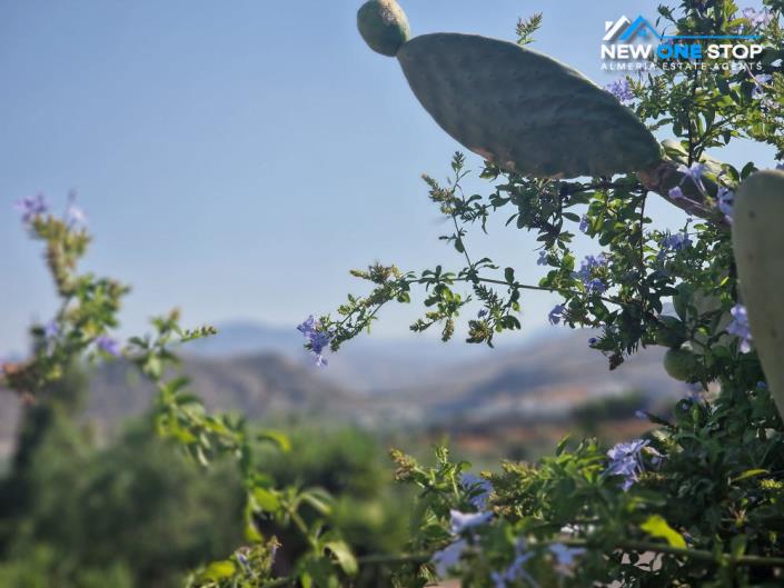 Image No.27-3 Bed Cortijo for sale