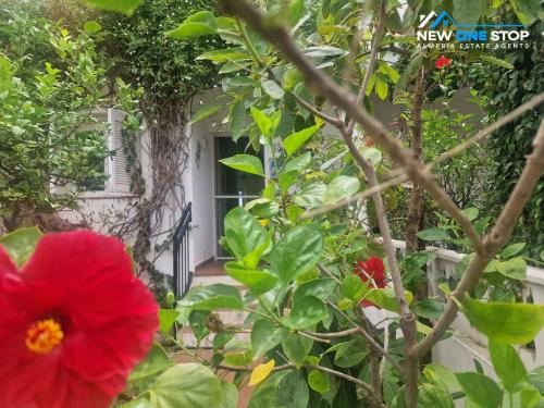 Image No.6-5 Bed House for sale