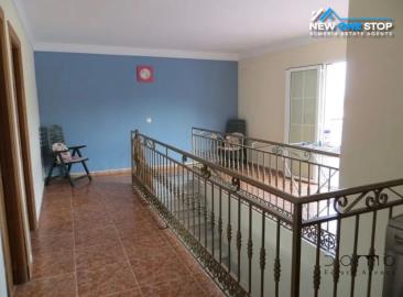 81f99555-4ad8-46b9-8456-33826c3d1e95