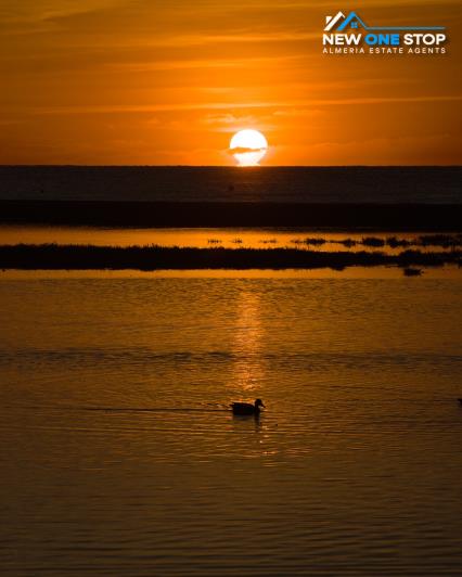 Image No.20-Appartement de 3 chambres à vendre à Garrucha