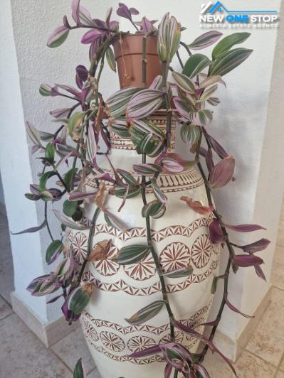 Image No.40-7 Bed Villa for sale