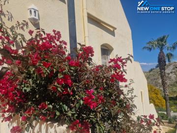 WhatsApp-Image-2026-03-25-at-10-32-15