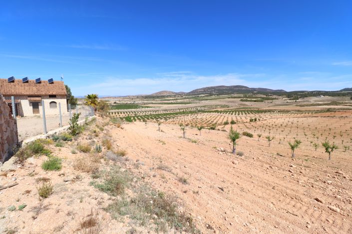 Image No.49-3 Bed Finca for sale