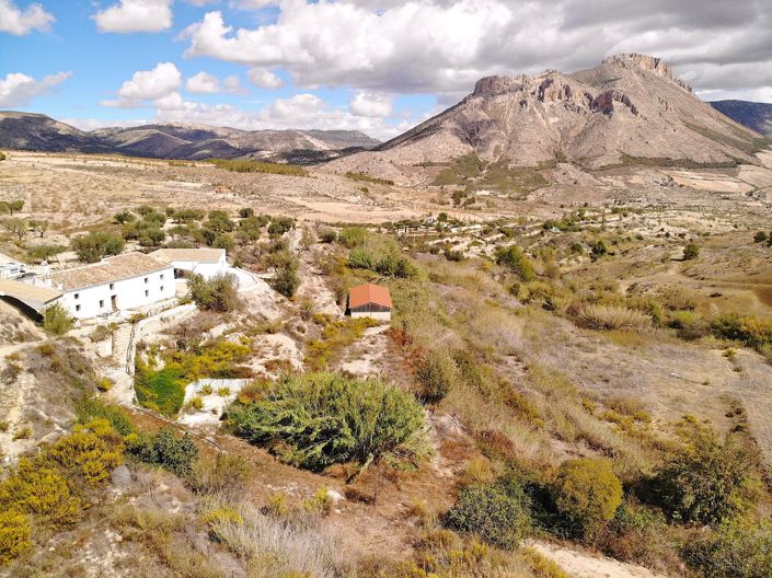 Image No.4-6 Bed Cortijo for sale