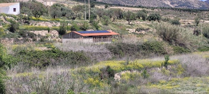 Image No.49-6 Bed Cortijo for sale