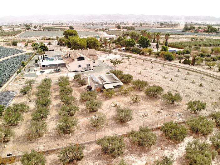 Image No.3-7 Bed Villa for sale