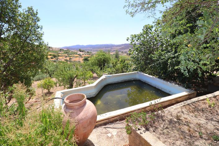 Image No.43-7 Bed Country House for sale