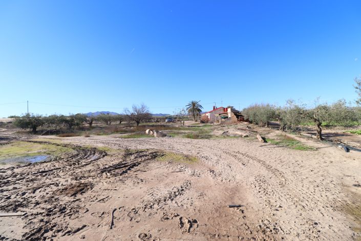 Image No.22-3 Bed Country House for sale