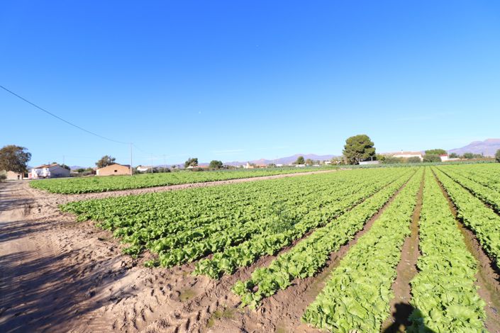 Image No.25-3 Bed Country House for sale