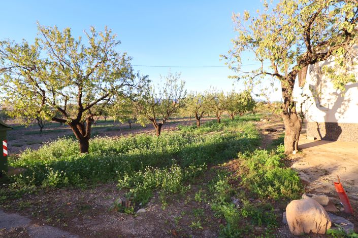 Image No.34-3 Bed Country House for sale