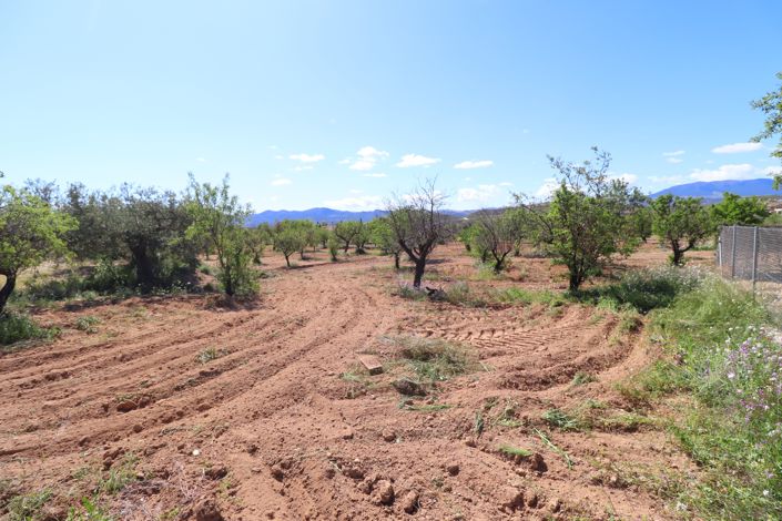 Image No.49-4 Bed Country House for sale