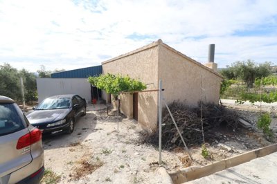 372966431