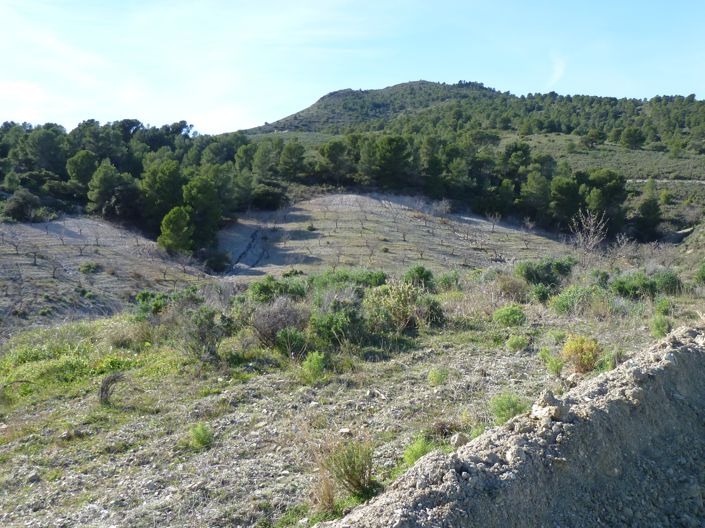 Image No.11-3 Bed Country House for sale