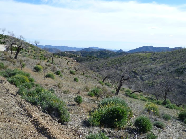 Image No.12-3 Bed Country House for sale