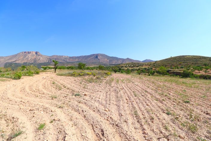Image No.48-Cortijo de 8 chambres à vendre à Velez-Rubio