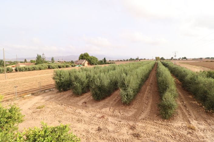 Image No.11-4 Bed Country House for sale