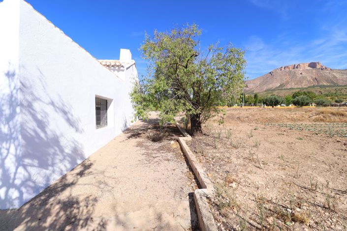 Image No.46-3 Bed Cortijo for sale
