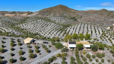 635ayrvnvmf3034-ch20-20aerial20images202