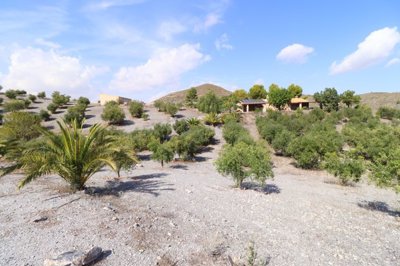 Paco House most sold property