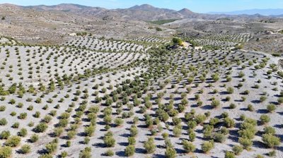 9ewnq964ldj3034-ch20-20aerial20images207