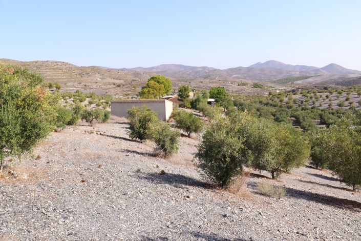 Image No.48-4 Bed Country House for sale