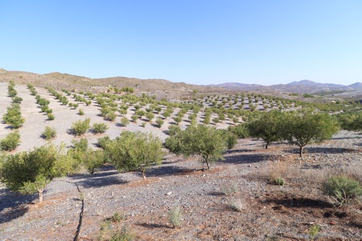 Image No.49-4 Bed Country House for sale