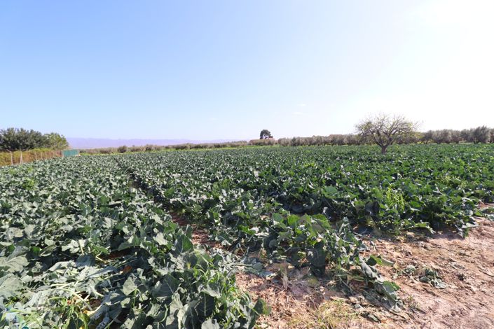 Image No.30-3 Bed Country House for sale