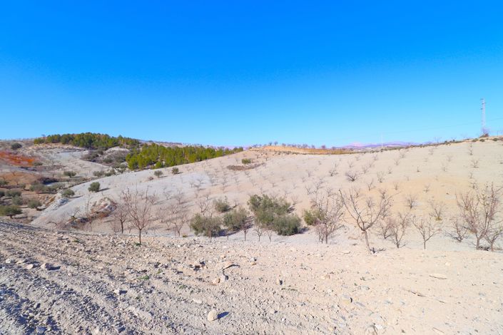 Image No.27-3 Bed Country House for sale