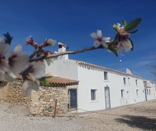 kenhl5fvt7acasa20parte20delantera