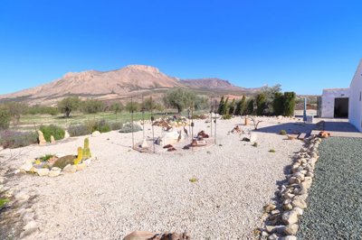 3ifg09vbtuv3043-ch2067