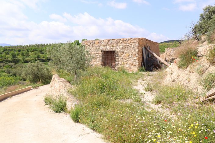 Image No.47-3 Bed Country House for sale