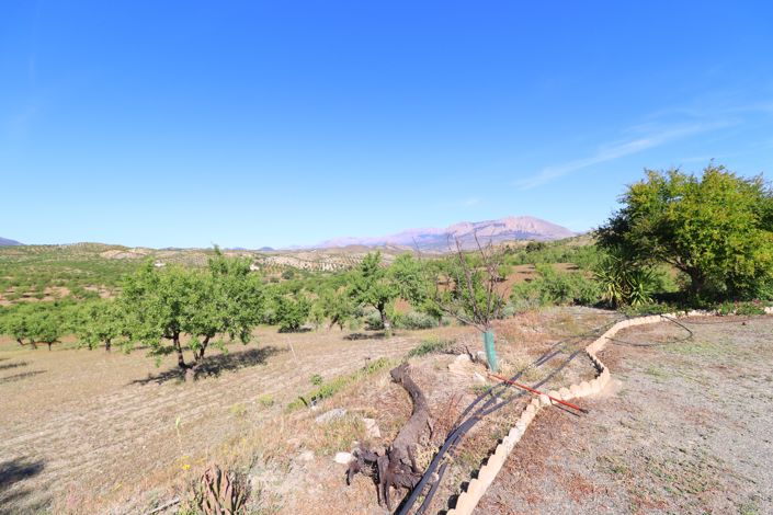 Image No.32-3 Bed Country House for sale