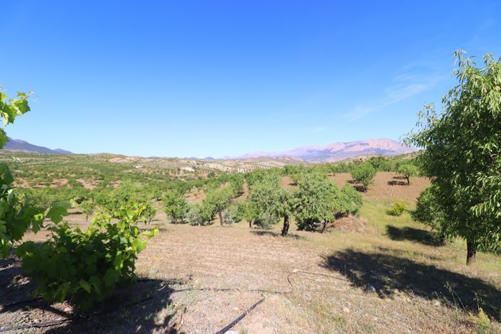 Image No.34-3 Bed Country House for sale