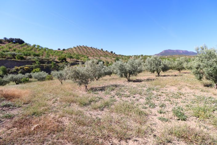 Image No.36-3 Bed Country House for sale