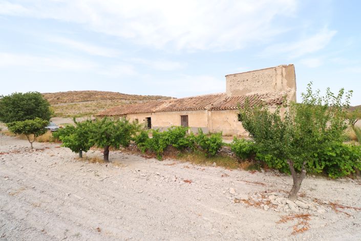 Image No.19-5 Bed Finca for sale