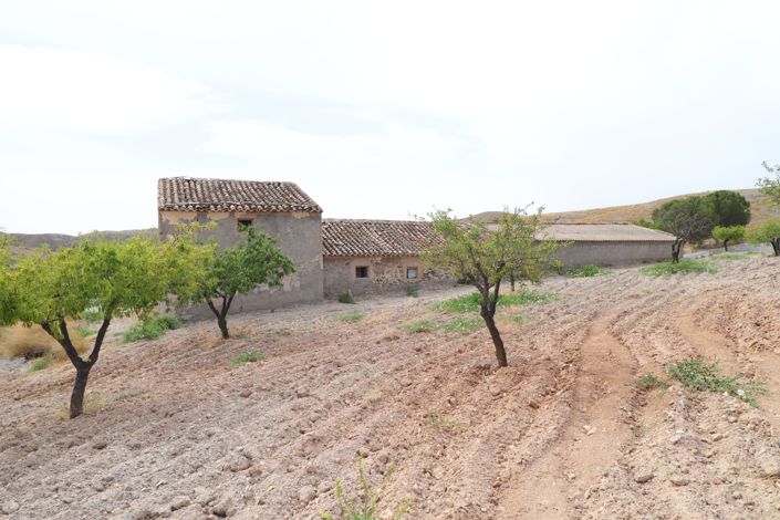 Image No.24-5 Bed Finca for sale